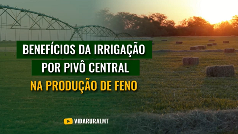 BENEFÍCIOS DA IRRIGAÇÃO POR PIVÔ CENTRAL NA PRODUÇÃO DE FENO